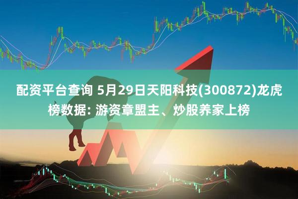 配资平台查询 5月29日天阳科技(300872)龙虎榜数据: 游资章盟主、炒股养家上榜